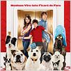 Um Hotel Bom pra Cachorro : poster