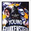 O Jovem Frankenstein : poster