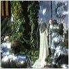 Excalibur : foto