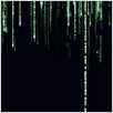 Matrix Revolutions : poster