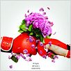 Noivas em Guerra : foto