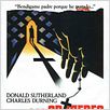 O Mistério do Rosário Negro : poster