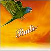 Paulie - Um Papagaio Bom de Papo : foto