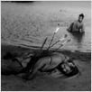 Rashomon : foto