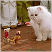 Stuart Little 2 : foto