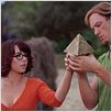 Scooby-Doo : foto