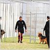 Penalidade Máxima : foto