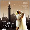 O Tigre e a Neve : poster