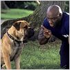 Spot - Um Cão da Pesada : foto