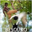 Besouro : foto