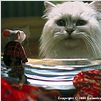 O Pequeno Stuart Little : foto