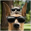 Marmaduke : foto