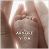 A Árvore da Vida : poster