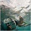 Soul Surfer : foto