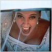 O Casamento de Muriel : foto