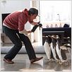 Os Pinguins do Papai : foto