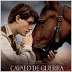 Cavalo de Guerra : poster