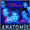 Anatomia : foto