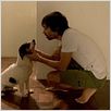 Cão Sem Dono : foto