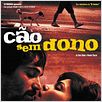 Cão Sem Dono : foto