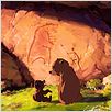 Irmão Urso : foto
