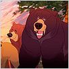 Irmão Urso : foto