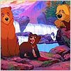 Irmão Urso : foto