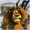 Madagascar 2 : foto