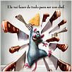 Ratatouille : foto