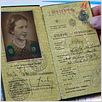 Passaporte Húngaro : poster