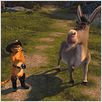 Shrek 2 : foto