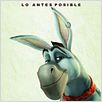 Donkey Xote : foto