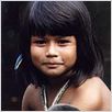 Tainá - Uma Aventura na Amazônia : foto