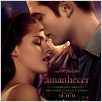A Saga Crepúsculo: Amanhecer - Parte 1 : poster