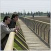 Hustle - A Decadência de Pete Rose : foto