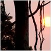 Nas Terras do Bem-Virá : foto