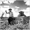 Sobreviventes - Filhos da Guerra de Canudos : foto