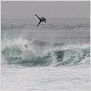Surf Adventures 2 - A Busca Continua : foto