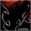 Crisálida : poster