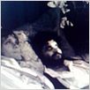 O Último Romance de Balzac : foto
