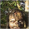 Mangue Negro : foto