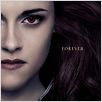 A Saga Crepúsculo: Amanhecer - O Final : poster Bill Condon, Kristen Stewart
