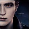 A Saga Crepúsculo: Amanhecer - O Final : poster Bill Condon, Robert Pattinson
