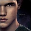 A Saga Crepúsculo: Amanhecer - O Final : poster Bill Condon, Taylor Lautner