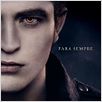 A Saga Crepúsculo: Amanhecer - Parte 2 : poster