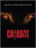 Caçados
