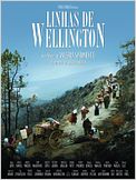 Linhas de Wellington