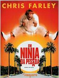 Um Ninja da Pesada