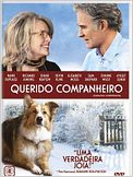 Querido Companheiro