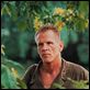 Além da Linha Vermelha : foto Nick Nolte